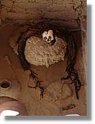 Nazca_208.jpg