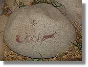 Nazca_266.jpg