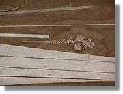 Nazca_270.jpg