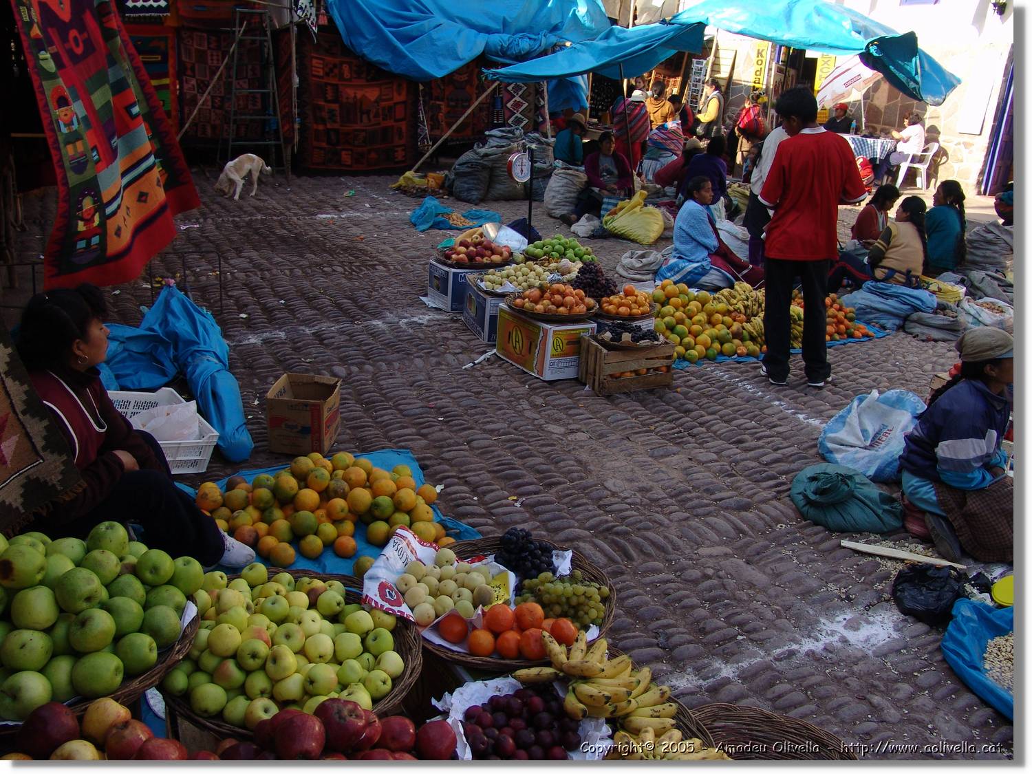 Sagrat_120.jpg