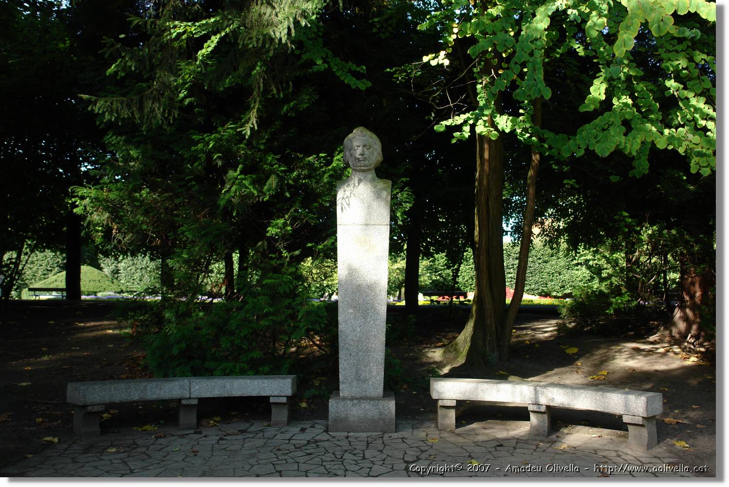 3_Oliwa_228.jpg
