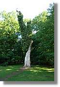 3_Oliwa_221.jpg