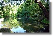 3_Oliwa_223.jpg