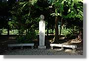 3_Oliwa_228.jpg