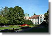 3_Oliwa_229.jpg