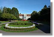 3_Oliwa_230.jpg