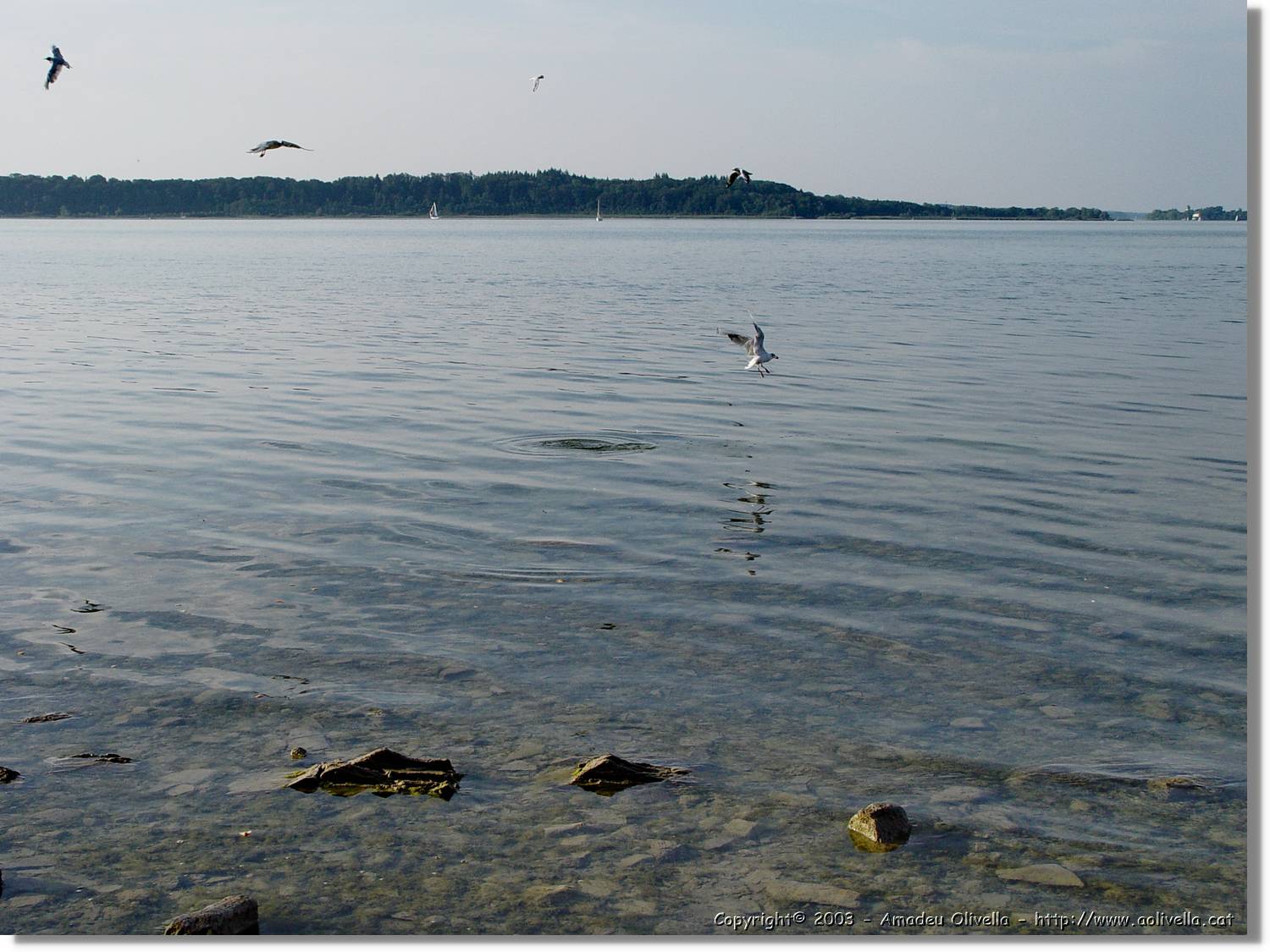 Chiemsee_001.jpg
