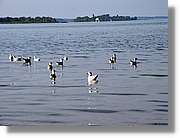 Chiemsee_011.jpg