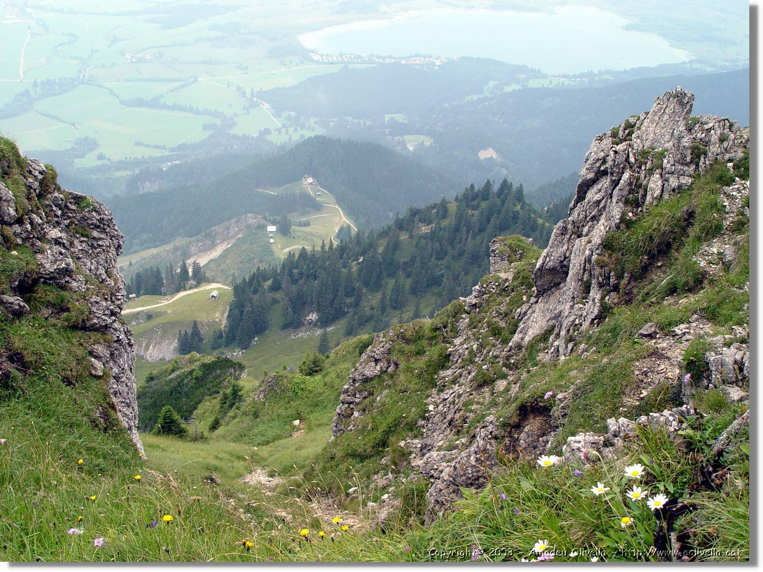 Bayern_009.jpg