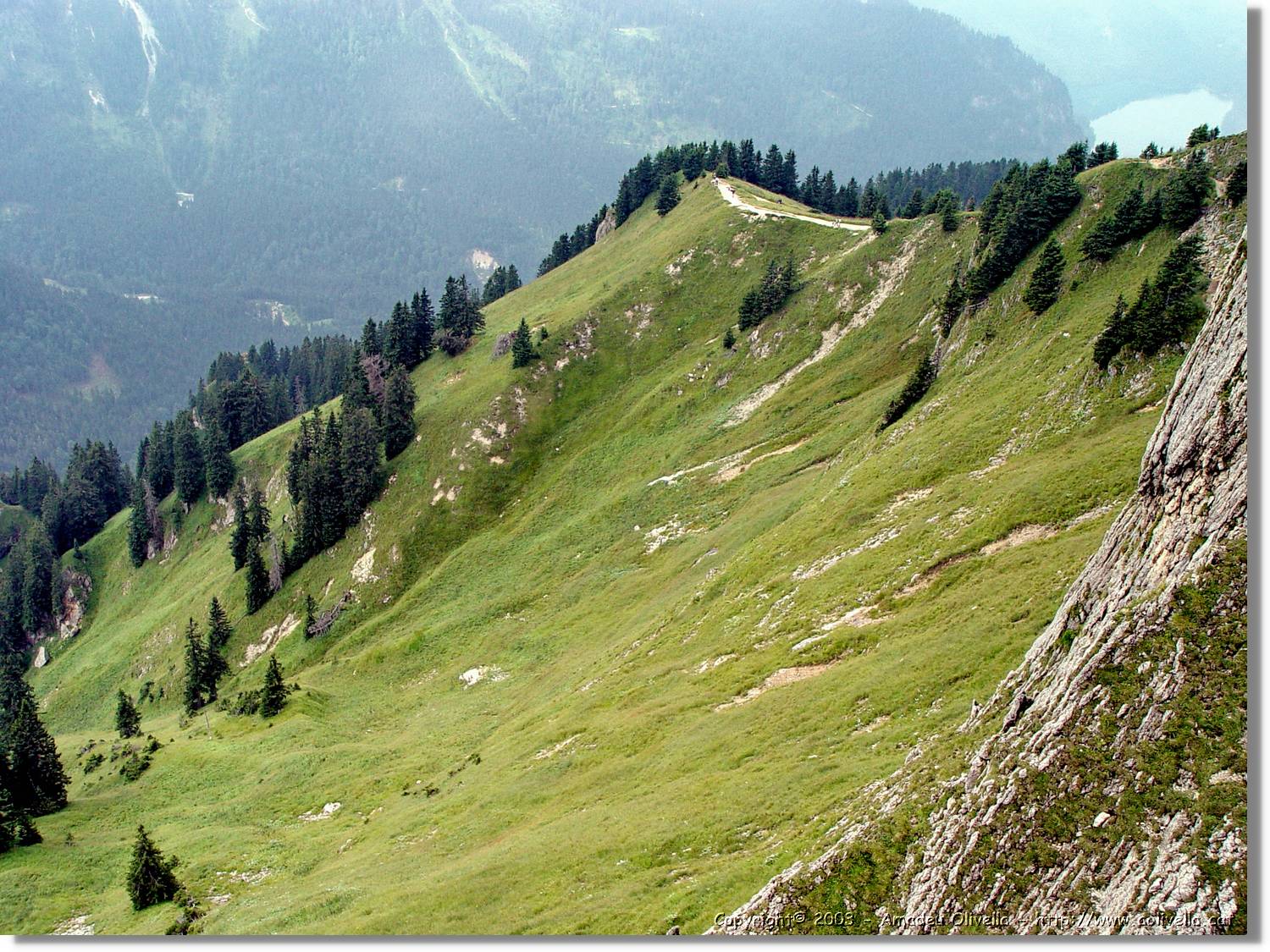 Bayern_020.jpg
