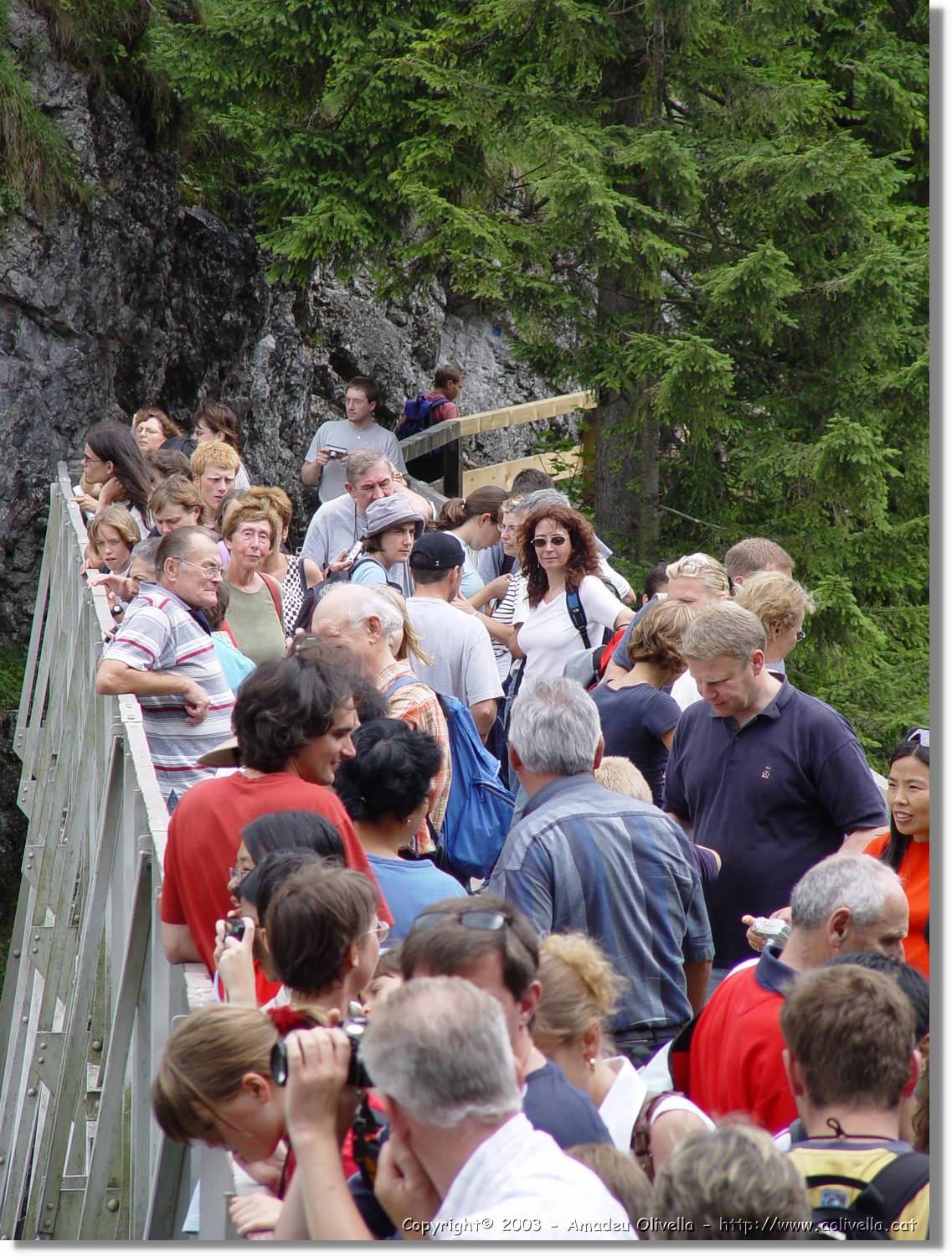 Bayern_043.jpg
