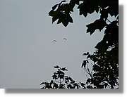 Parapent_079.jpg