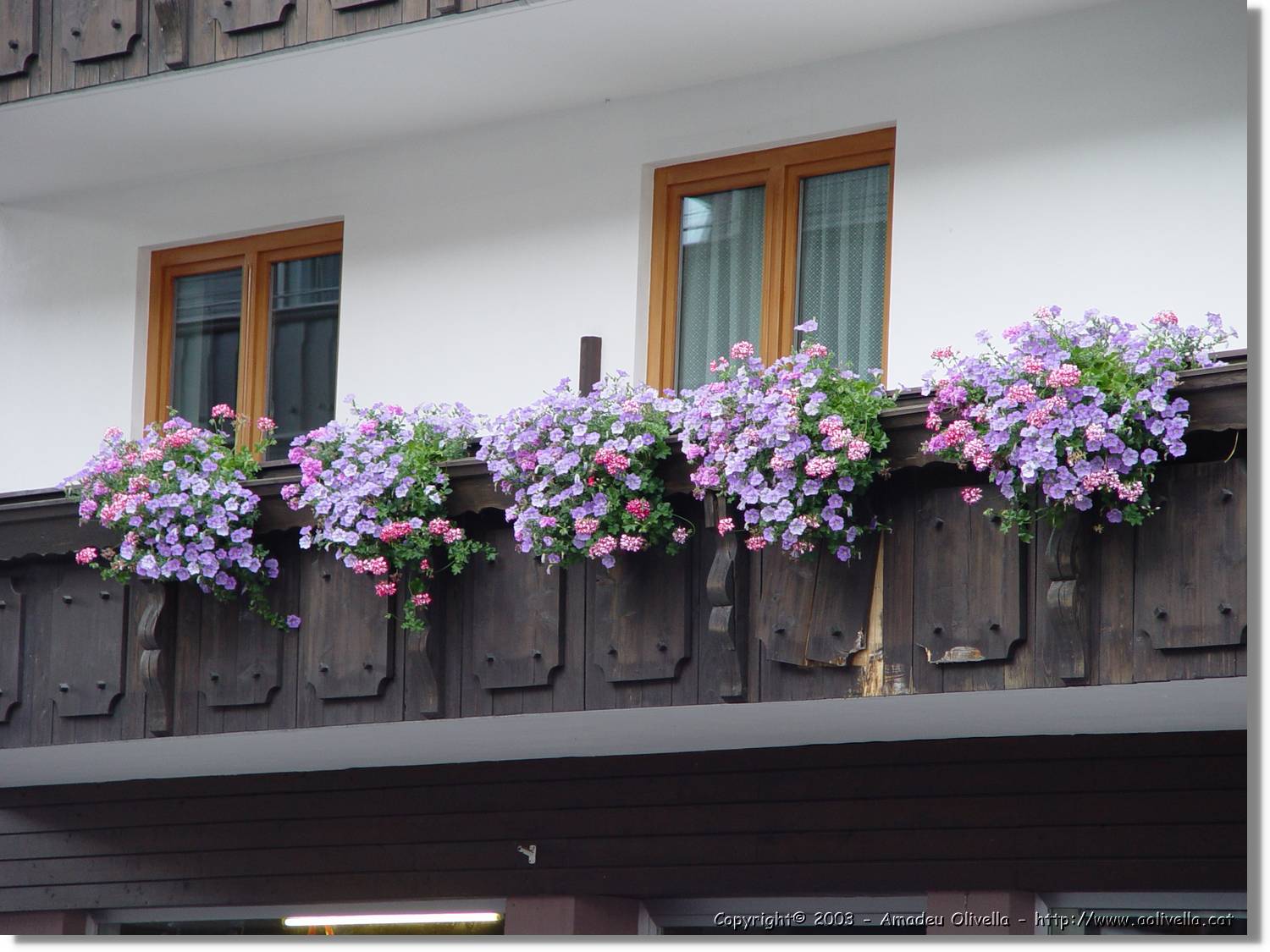 Tirol_003.jpg