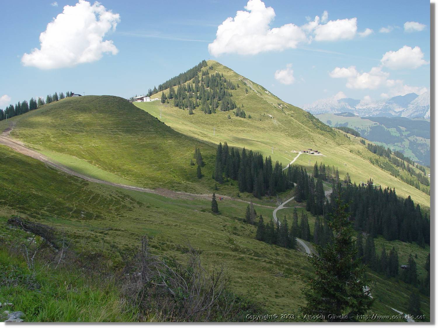 Tirol_050.jpg