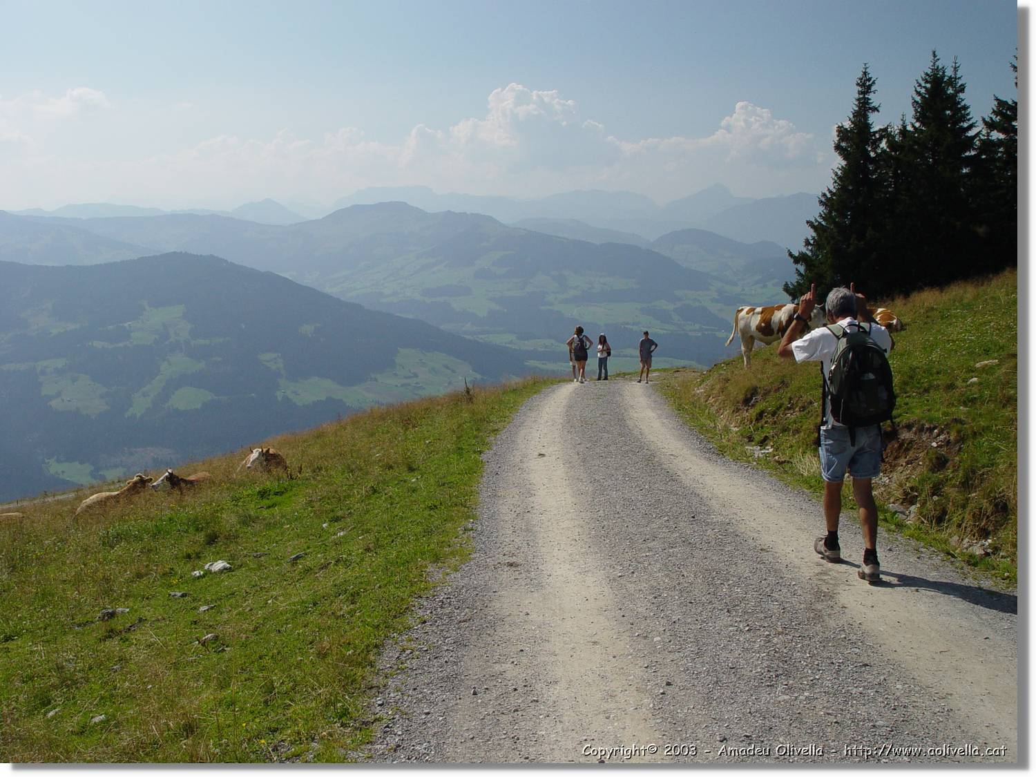 Tirol_052.jpg