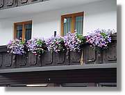 Tirol_003.jpg