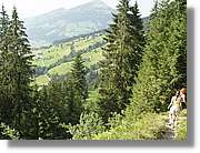 Tirol_059.jpg
