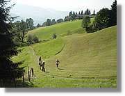 Tirol_065.jpg