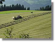 Tirol_068.jpg