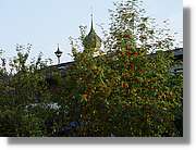 Tirol_105.jpg