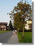 Tirol_109.jpg