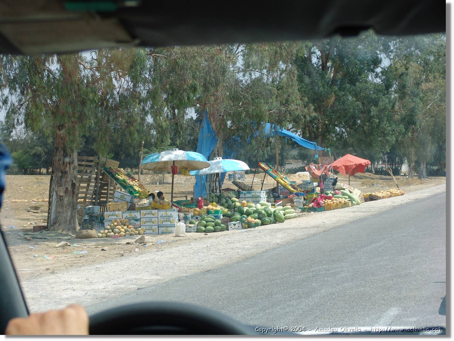 Tunisia_0701.jpg