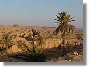 Tunisia_0123.jpg