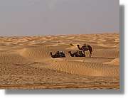 Tunisia_0237.jpg