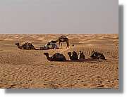 Tunisia_0238.jpg