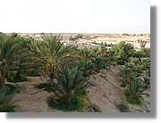 Tunisia_0521.jpg