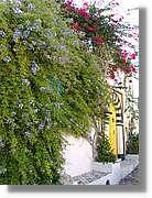 Tunisia_1039.jpg