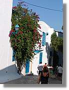 Tunisia_1040.jpg