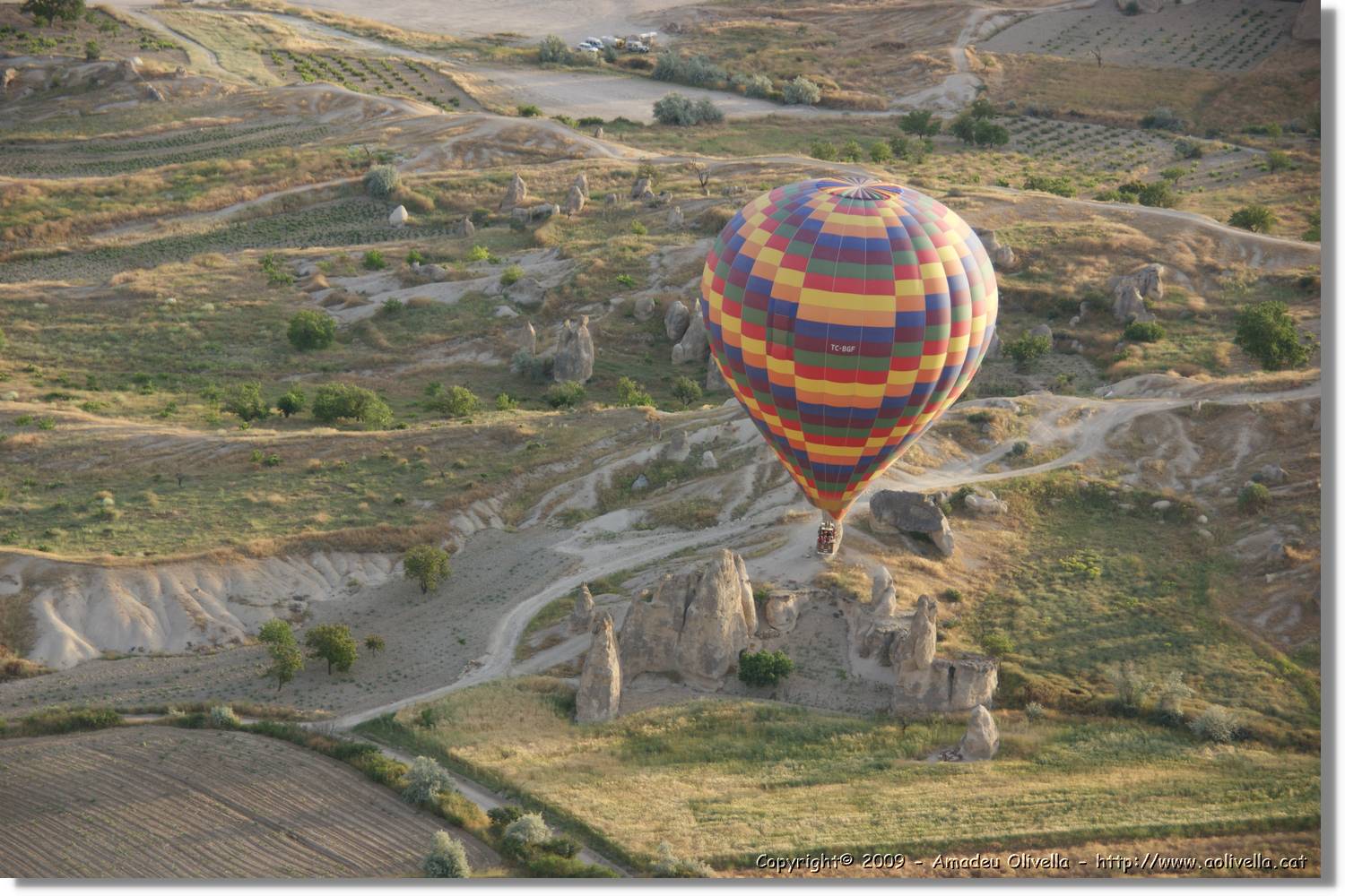 Globus_263.jpg