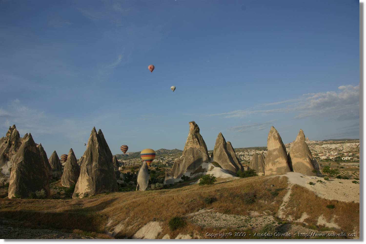 Globus_355.jpg