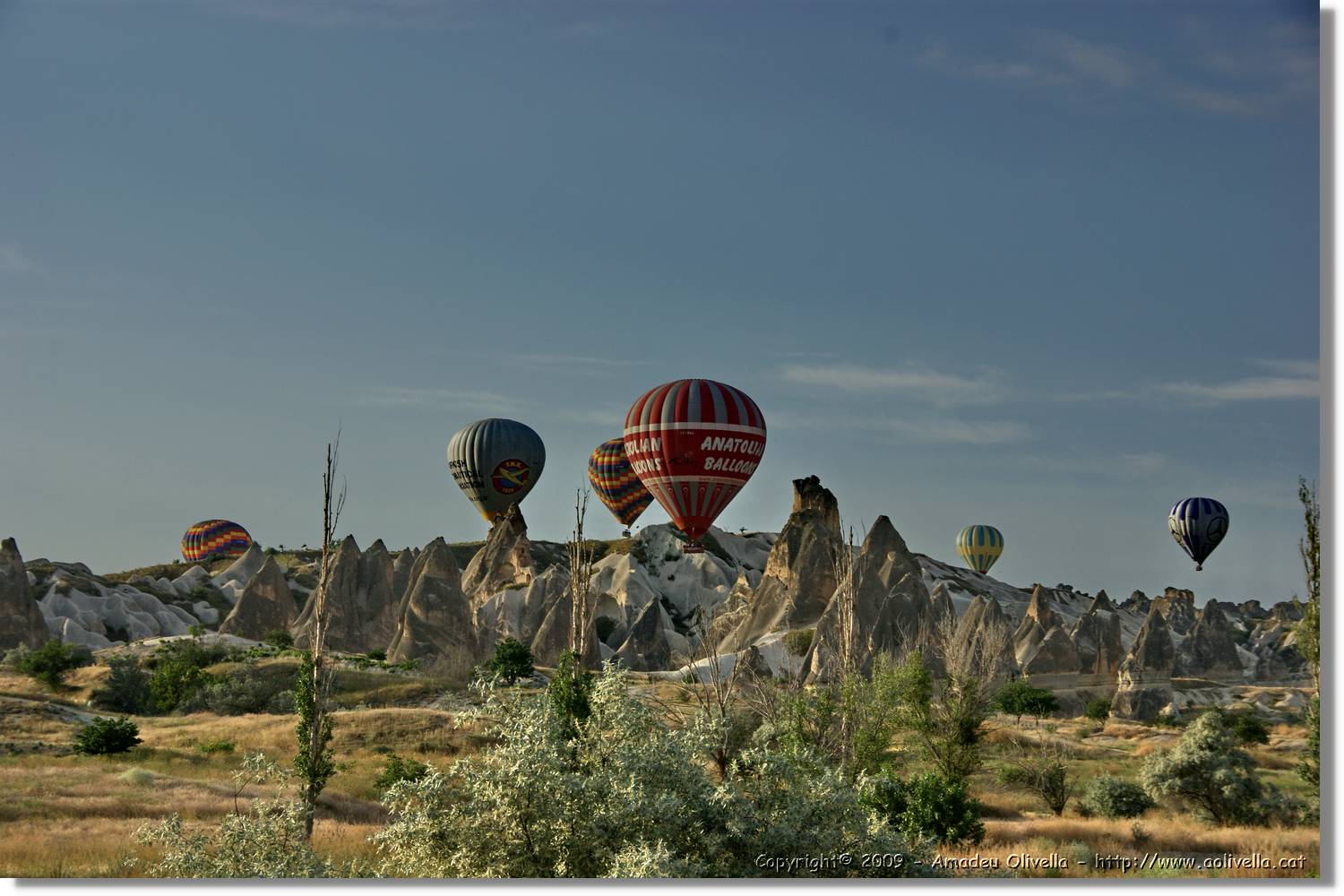 Globus_443.jpg