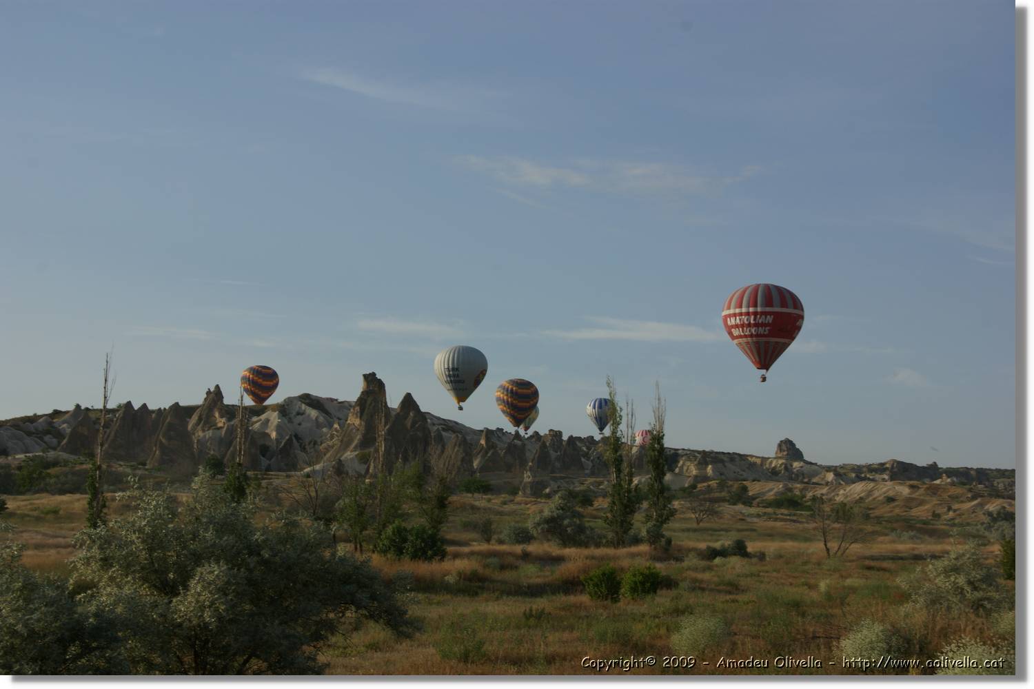 Globus_451.jpg