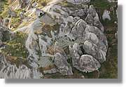 Globus_276.jpg