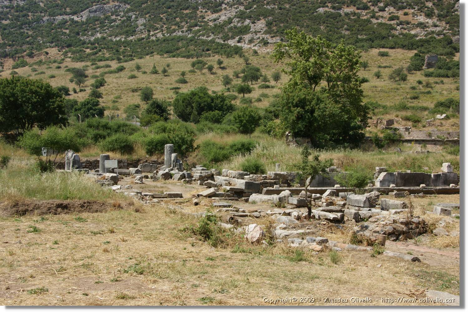 Izmir_011.jpg