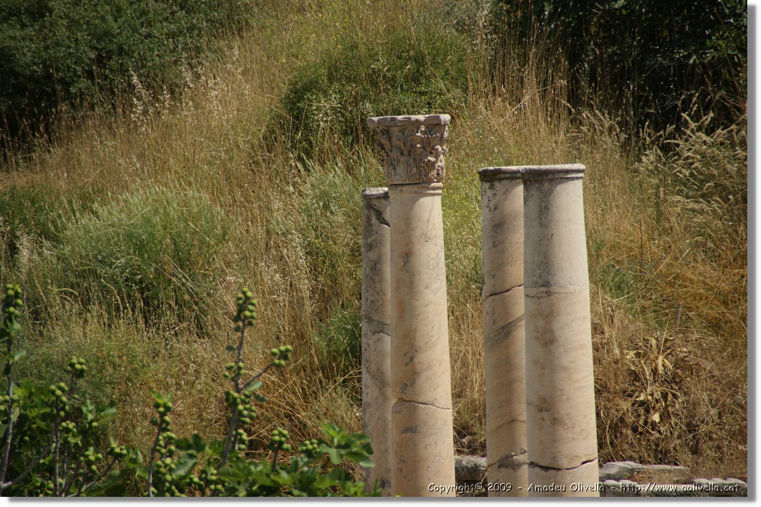 Izmir_055.jpg