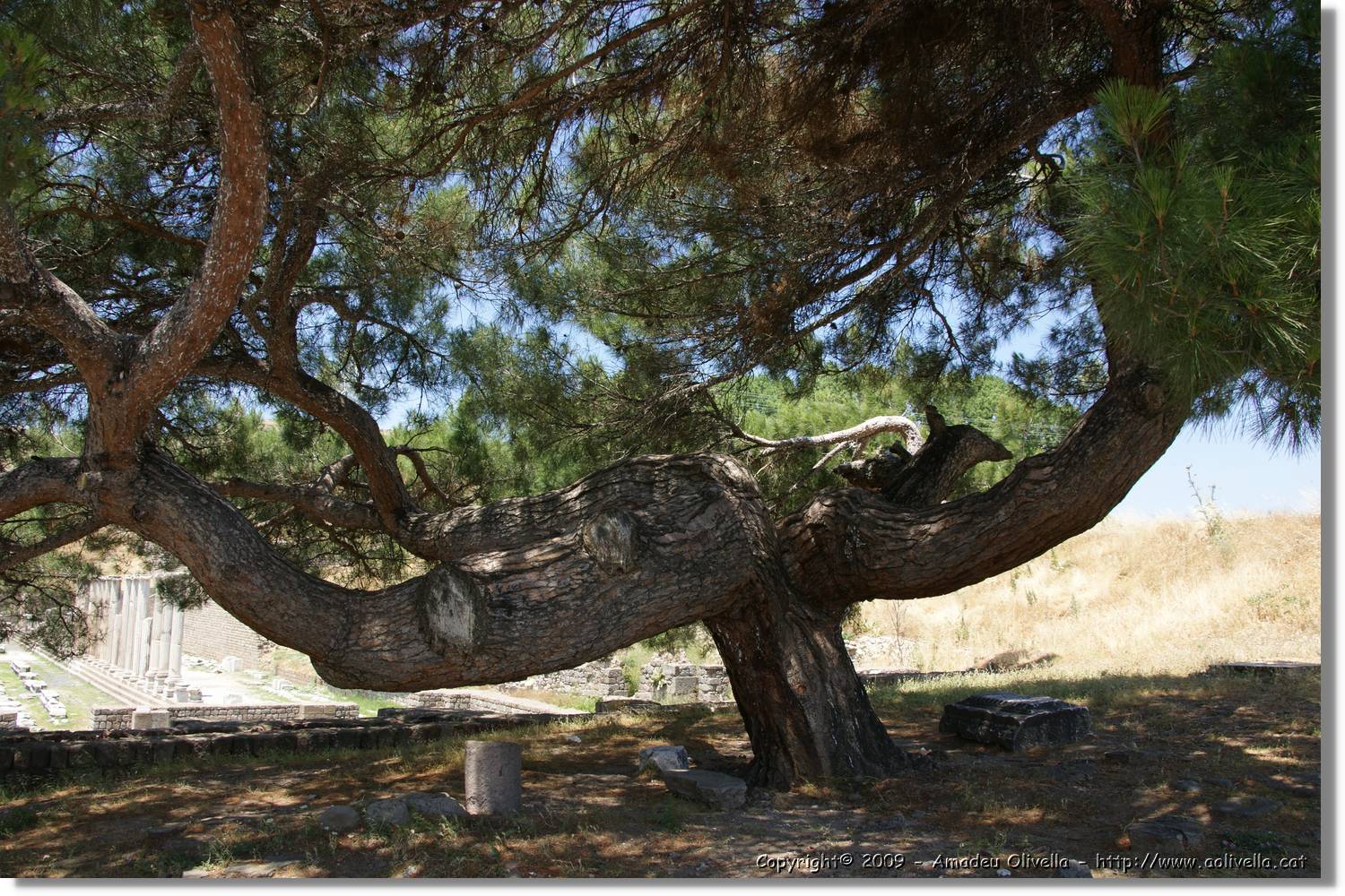 Izmir_335.jpg