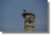 Izmir_154.jpg