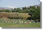 Izmir_155.jpg