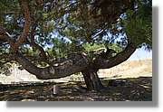 Izmir_335.jpg
