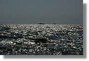 Izmir_383.jpg