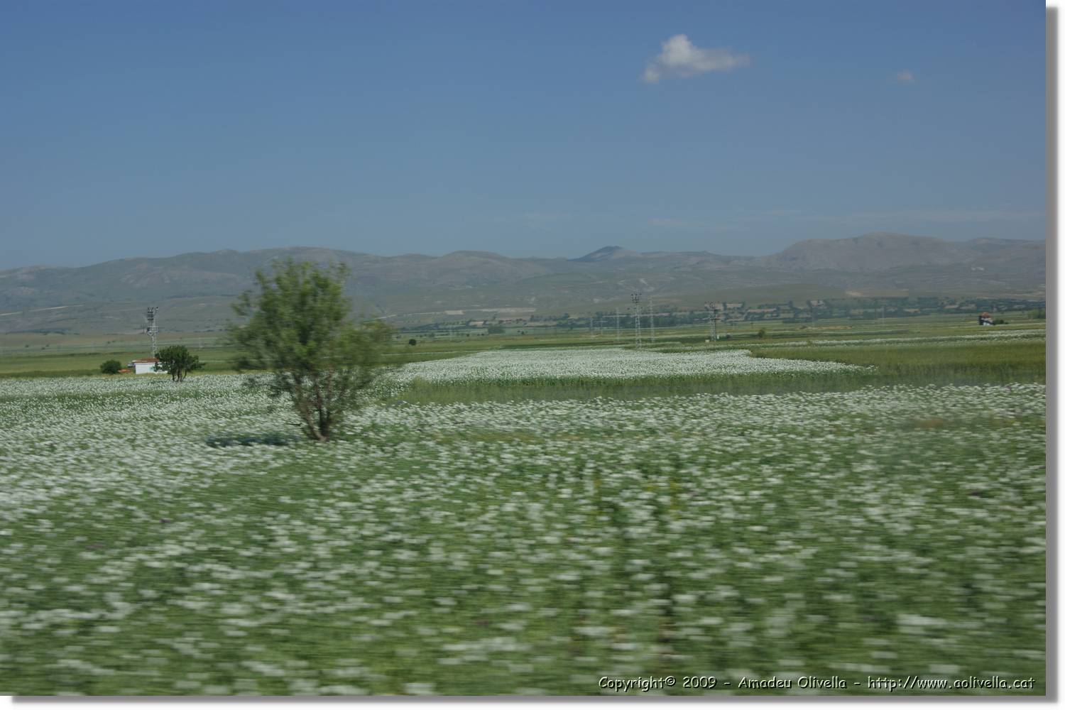 Pamukkale_300.jpg
