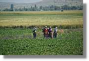 Pamukkale_295.jpg