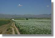 Pamukkale_299.jpg