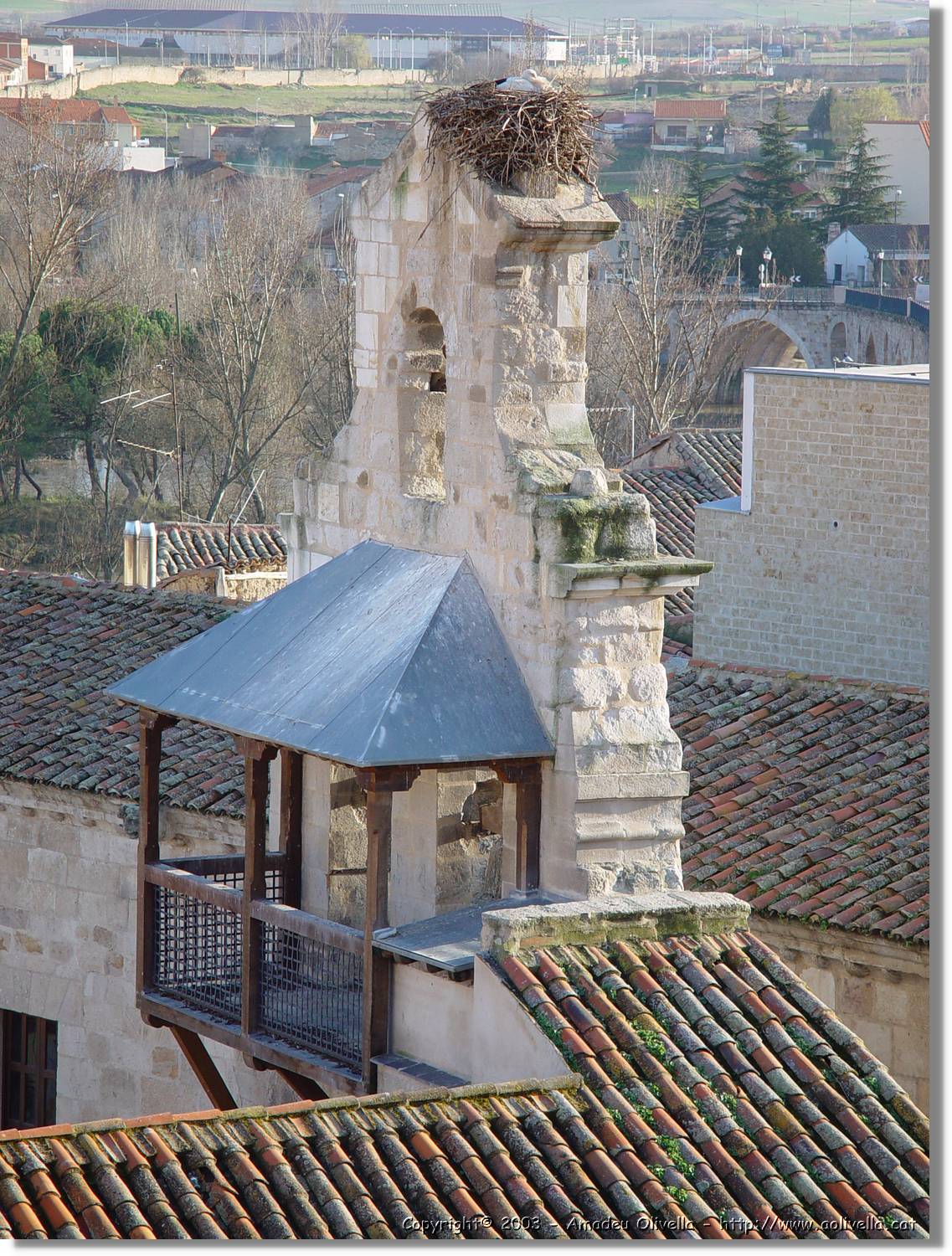 Zamora_007.jpg