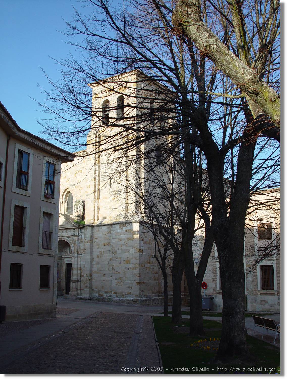 Zamora_011.jpg