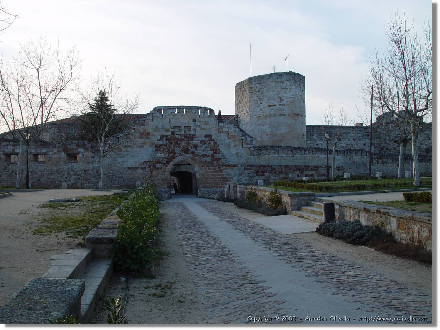 Zamora_024.jpg